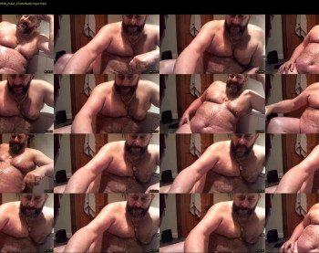 bearsteve75