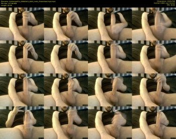 irishhorse874