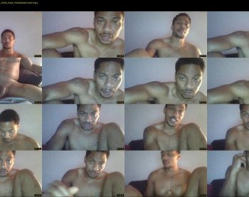 sharkdickwilly