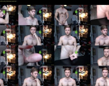 todd_williams