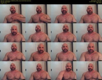 bigbeefusa