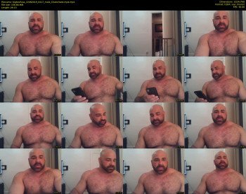 bigbeefusa
