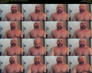 bigbeefusa