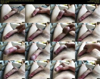 meendedanuecht3