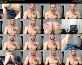 mr_lionn83