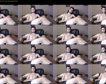 sexual_vibrations