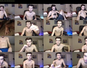 sexual_vibrations