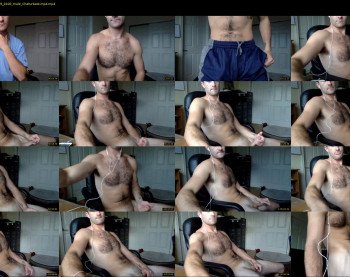 austinpatrick94