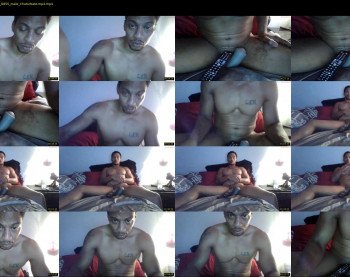 sharkdickwilly