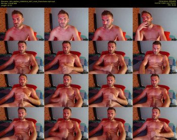 10in_stallion