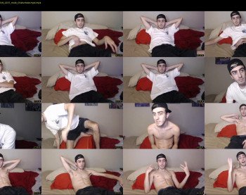 sexual_vibrations
