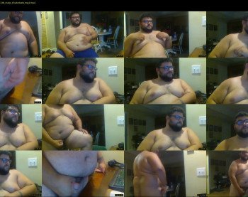 bearbellybg