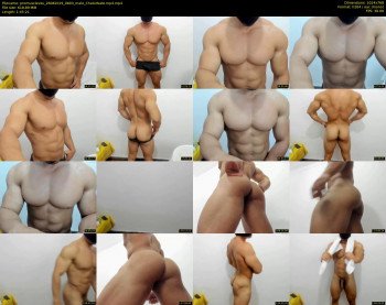 promuscles4u