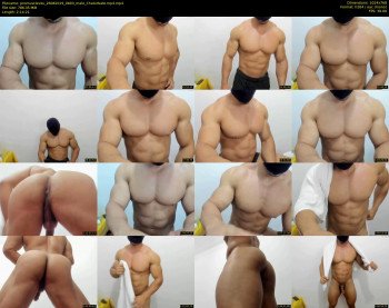 promuscles4u
