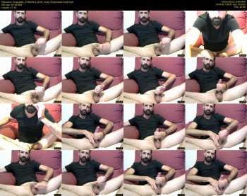 kingcat82