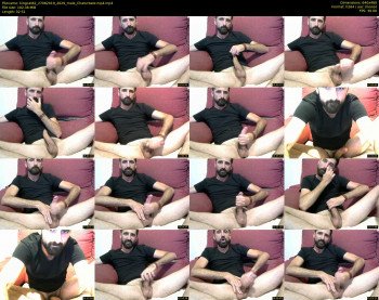 kingcat82