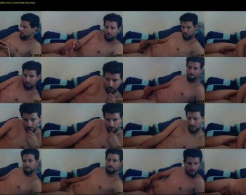 wadultras13