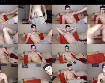 sexual_vibrations