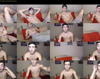 sexual_vibrations