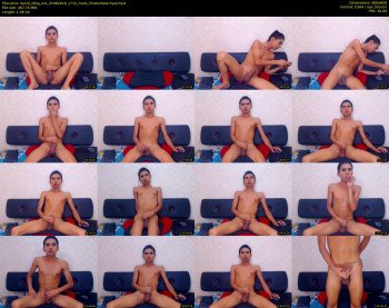 david_sting_xxx
