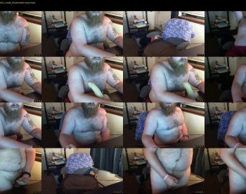 mr_mt_bear