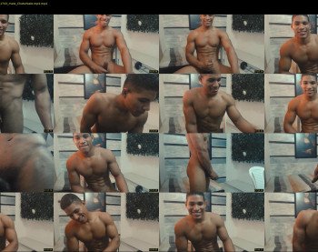 teddyfit19cm