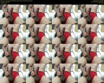 pauzudo_dot