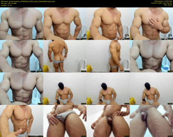 promuscles4u