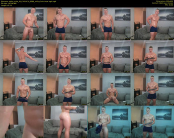 alpha_male_95
