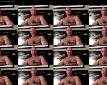 musclbear