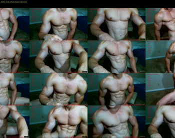 muscletueday