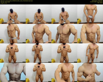 promuscles4u