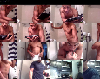 sharkdickwilly