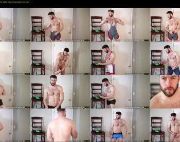 about_the_bulge