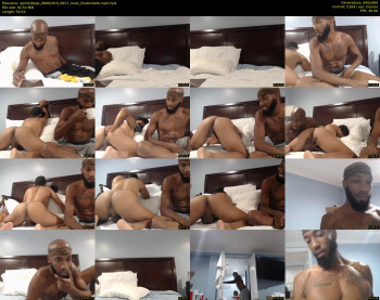 apollodiego