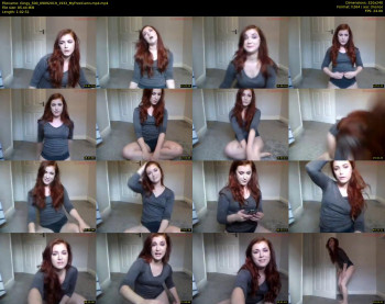 Gingy_500