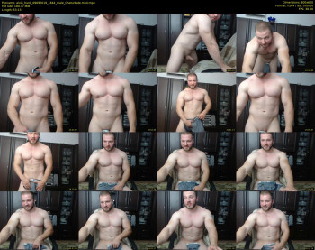 alvin_hunk