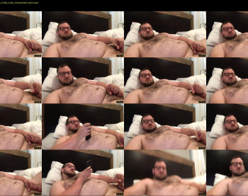dadbulgelover