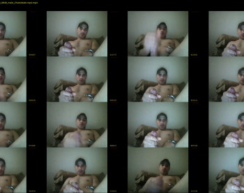 demos295