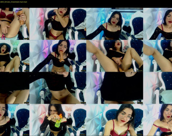 hollypocket_