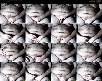 pighair44