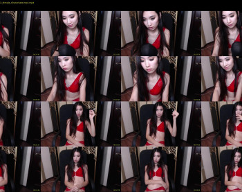 piton_cici