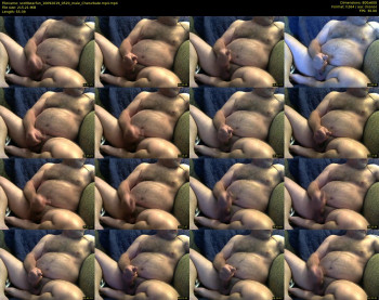 scottbearfun