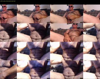 steelman2011