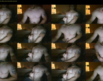 vanillagorilla365