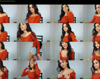 wildkitten23