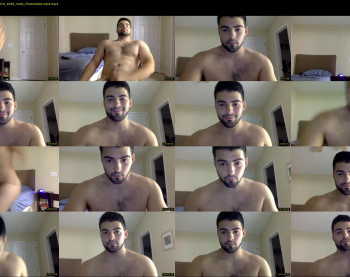 italianstallion252