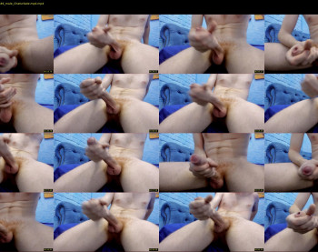 luis_ginger