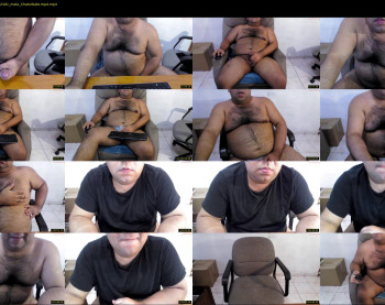 alexlatinbear