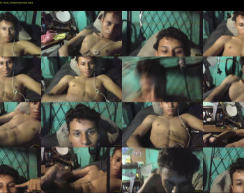 cercris_xd